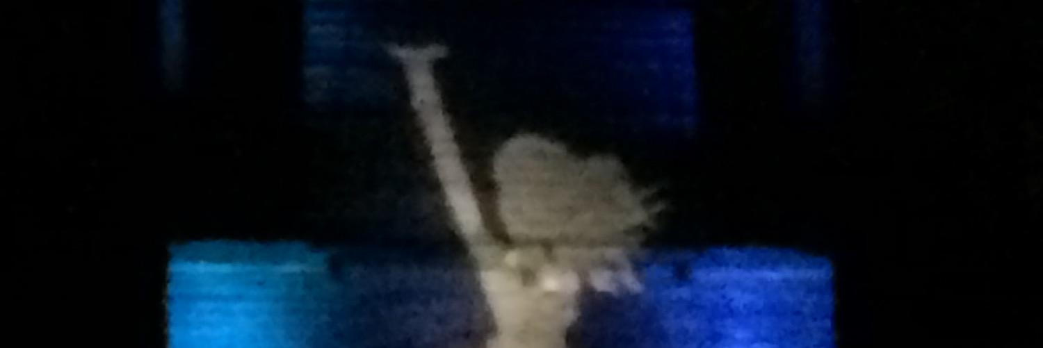 MarcMalter's profile banner image
