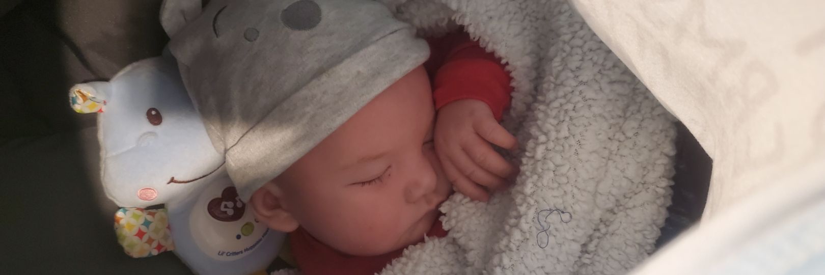 tegan_raine's profile banner image