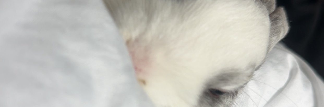 ClmMz11's profile banner image