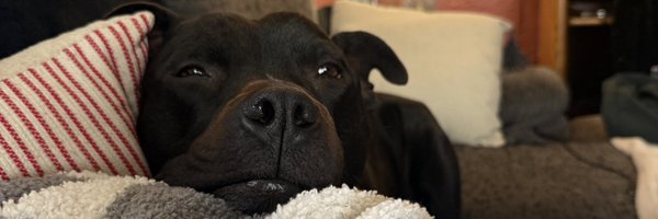 magraex3 Profile Banner