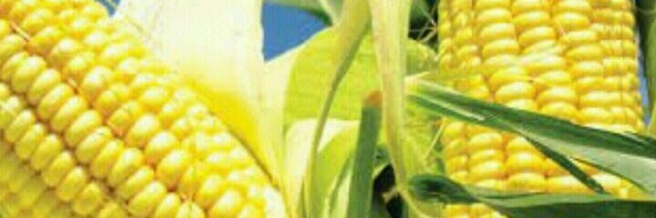Timmy_Ojerinde's profile banner image
