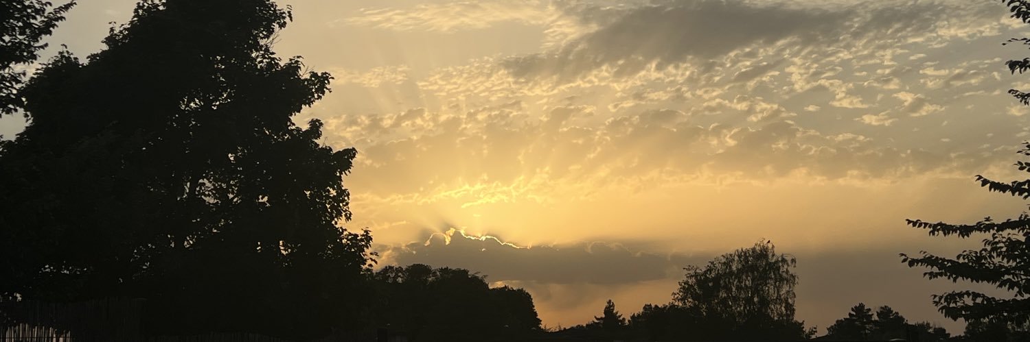 amelie_grn's profile banner image