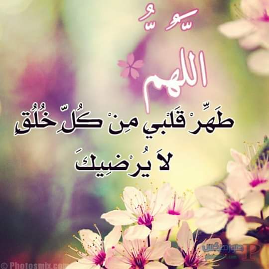 rjb_aly's profile banner image