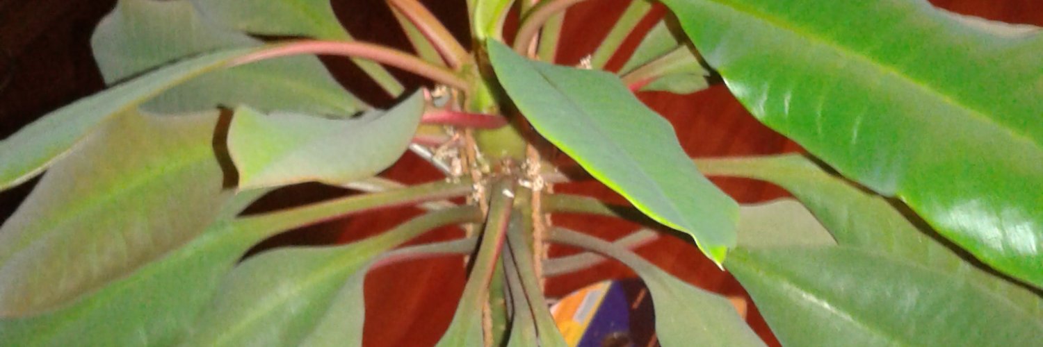 Kajmakov71's profile banner image