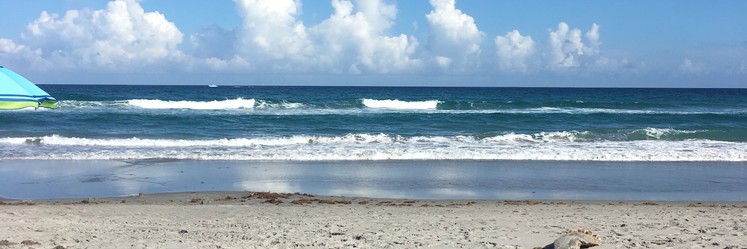 Machelle🌴 banner