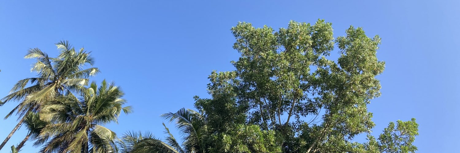 LulukRadisa's profile banner image