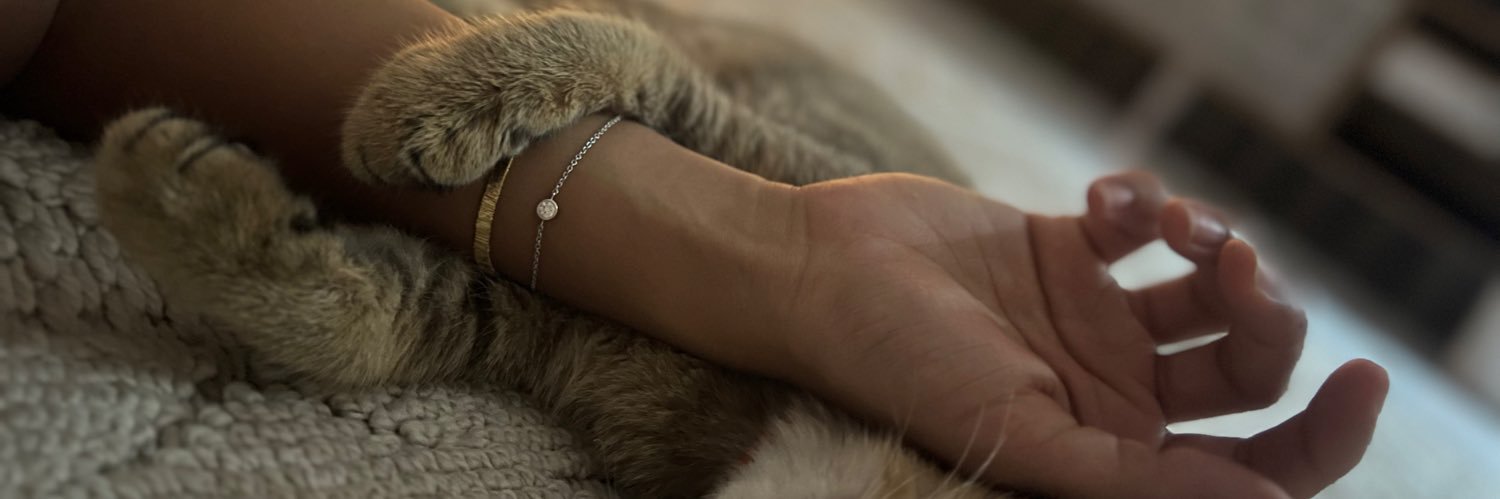 Rehamfsh's profile banner image