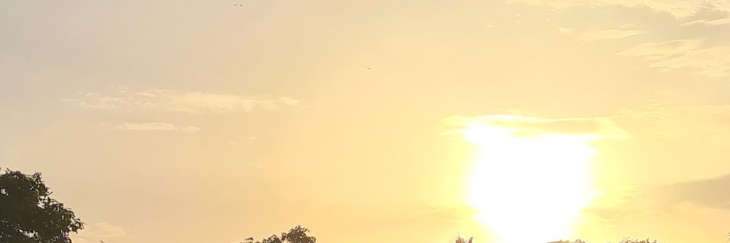 joeliiko's profile banner image