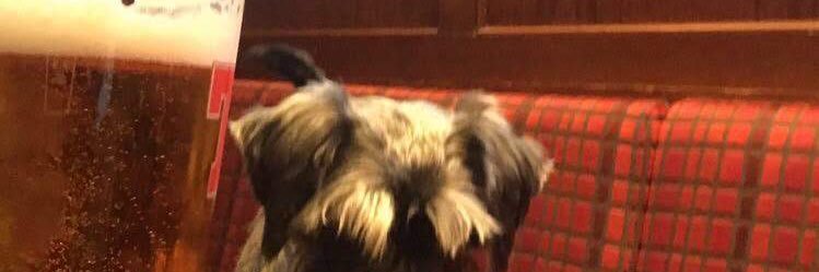 Calum Benzies banner