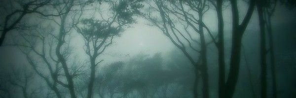 tolkashka's profile banner image