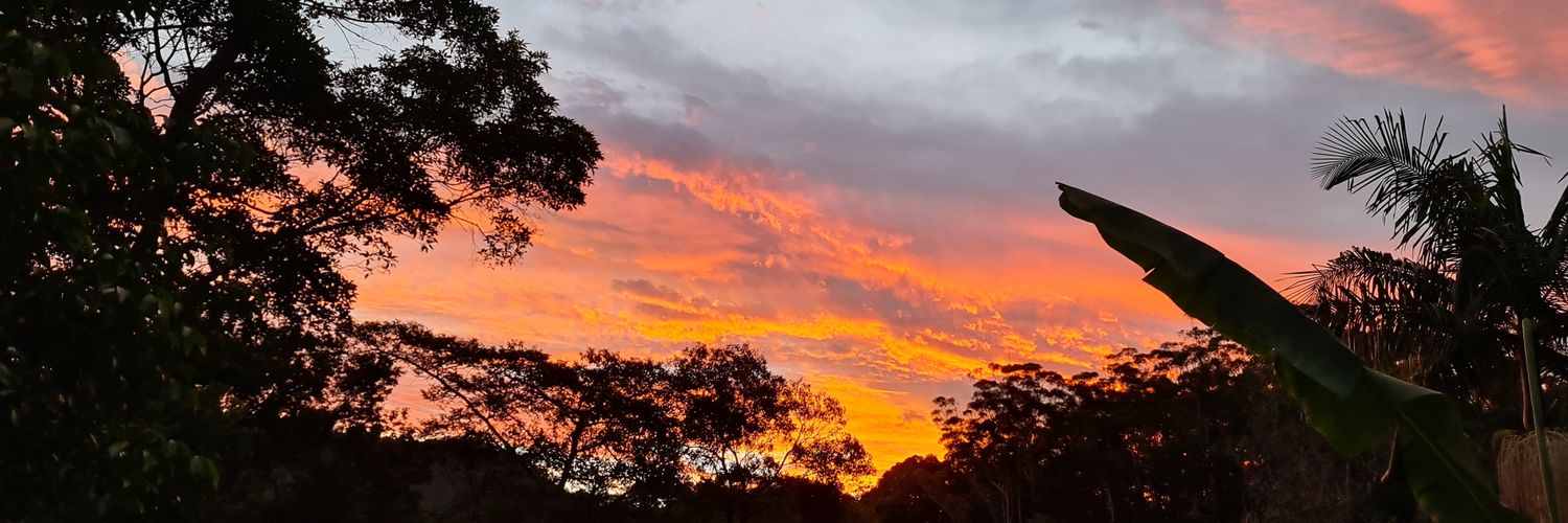 darryl larkin Vote YES banner