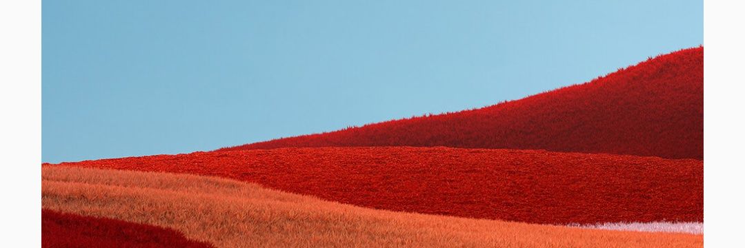 Gwendalinech's profile banner image