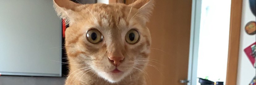 claralvs_'s profile banner image