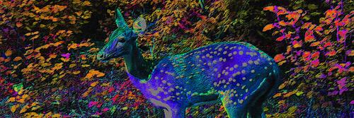 YABOYDEERNIGGA's profile banner image