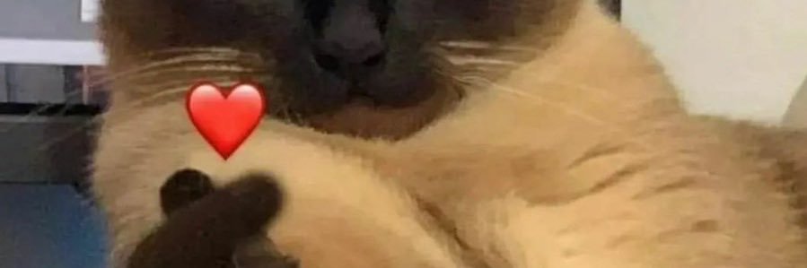 TeamPlayerNick's profile banner image