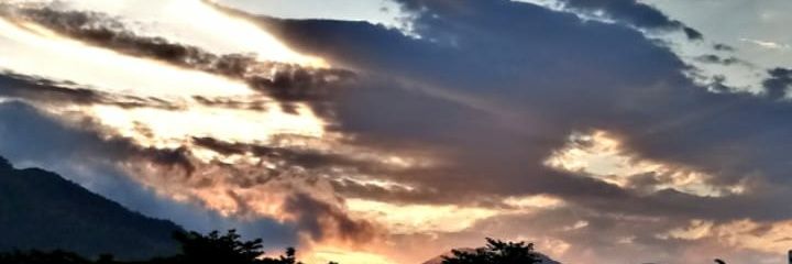 SEscarlate's profile banner image