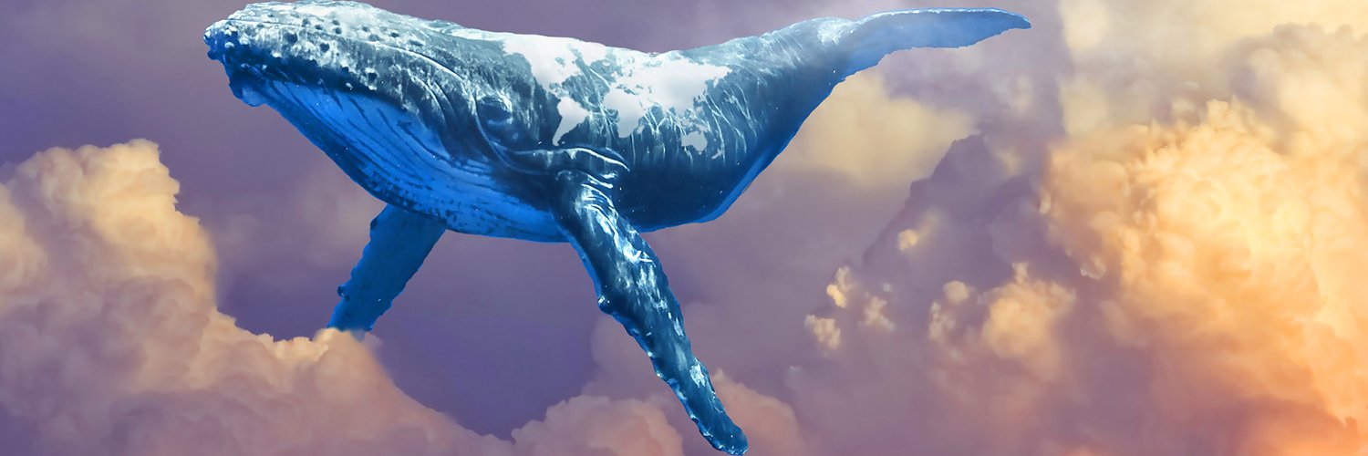 WalkenArmy's profile banner image