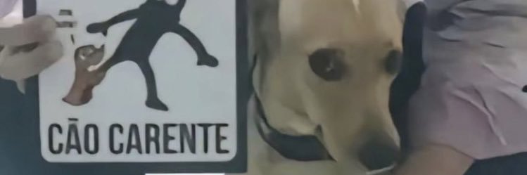 Dan1elrd2's profile banner image