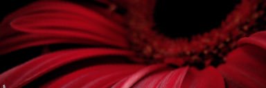 codylee000's profile banner image