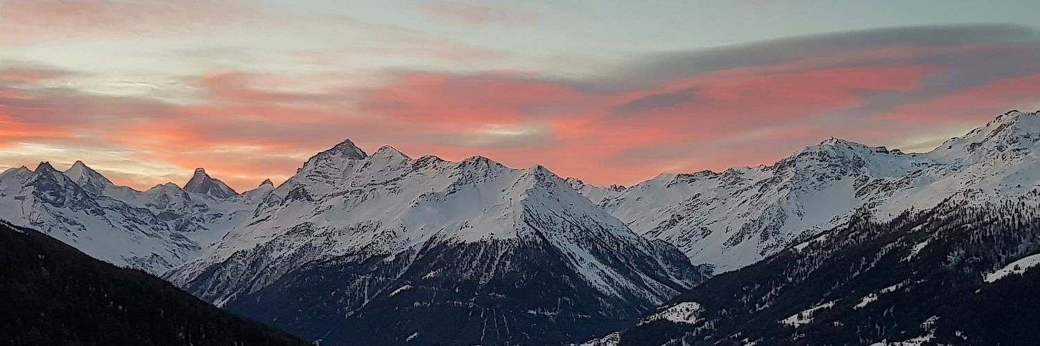 MaudFasel's profile banner image