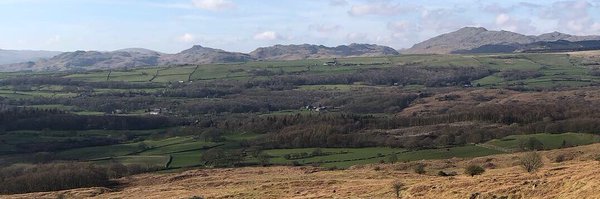 alfield456 Profile Banner