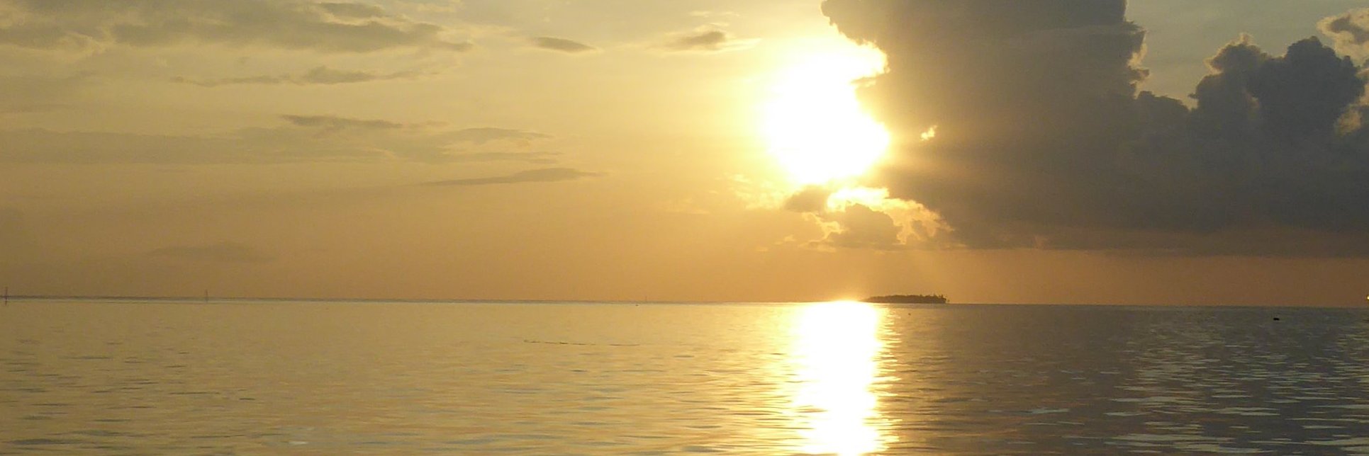 Gaëlle Dussutour banner