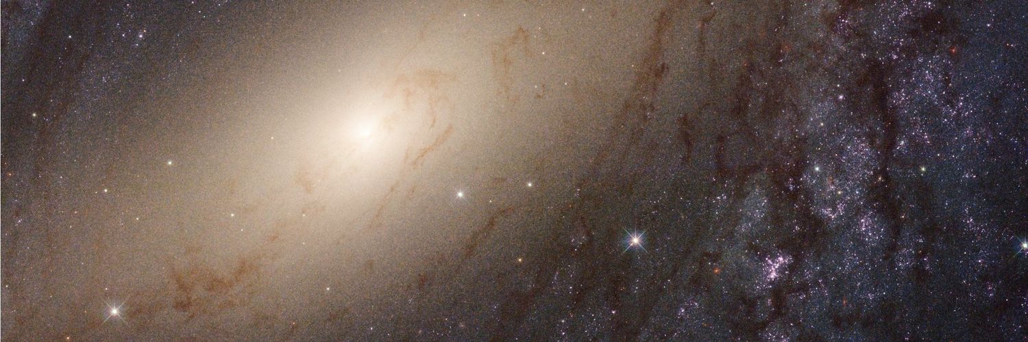 raul capin leal banner