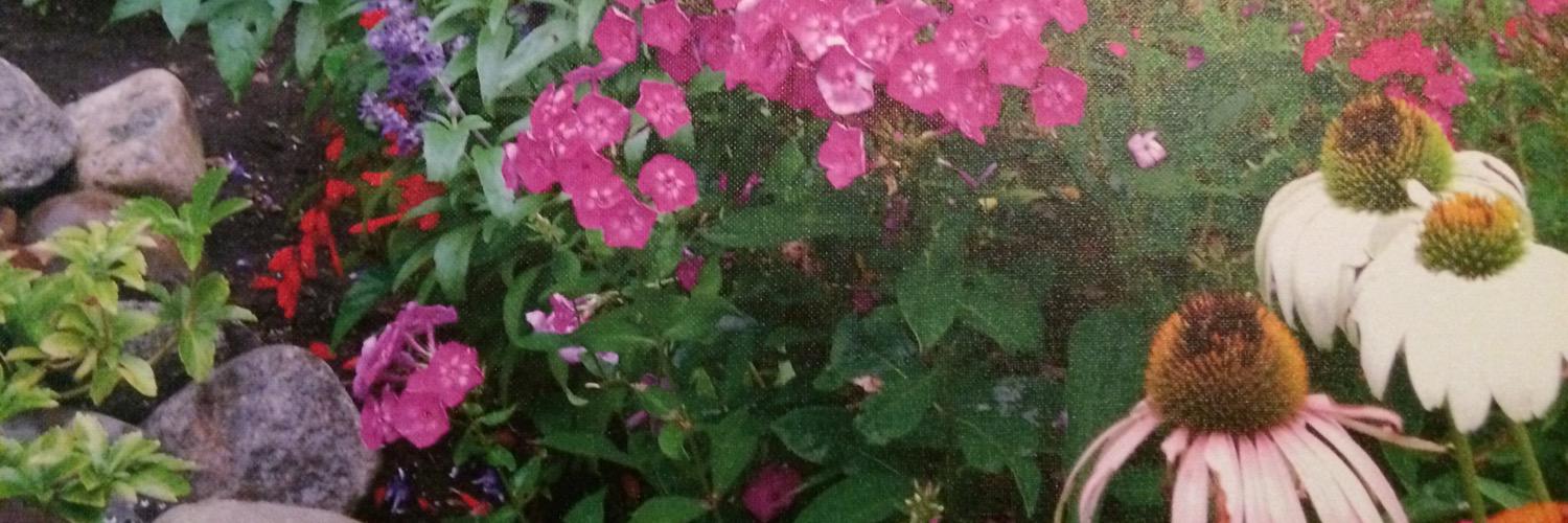 blum_kerry's profile banner image