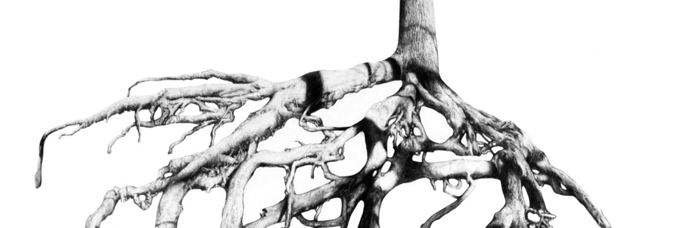 PaulRidyard's profile banner image