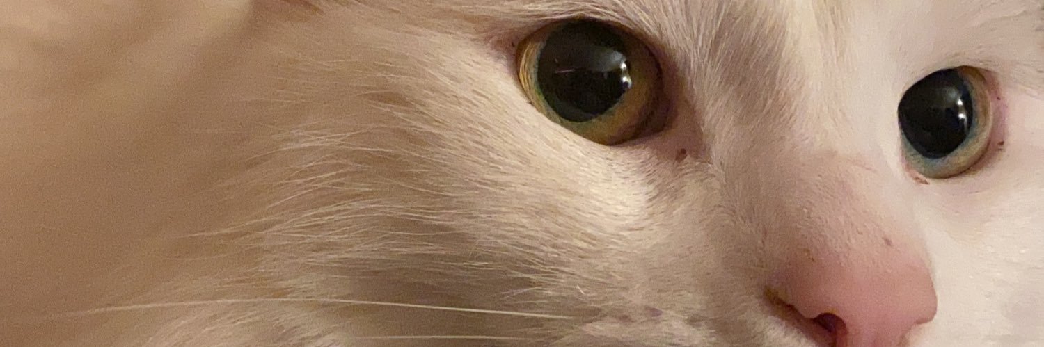 MobyIdriss's profile banner image