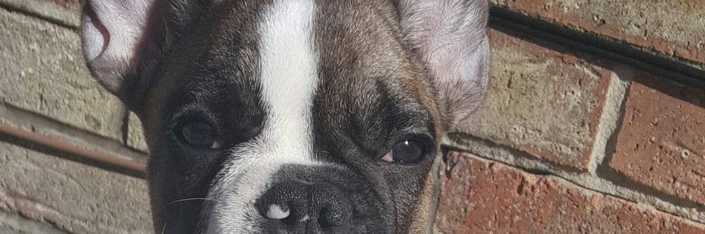 emmalb21's profile banner image