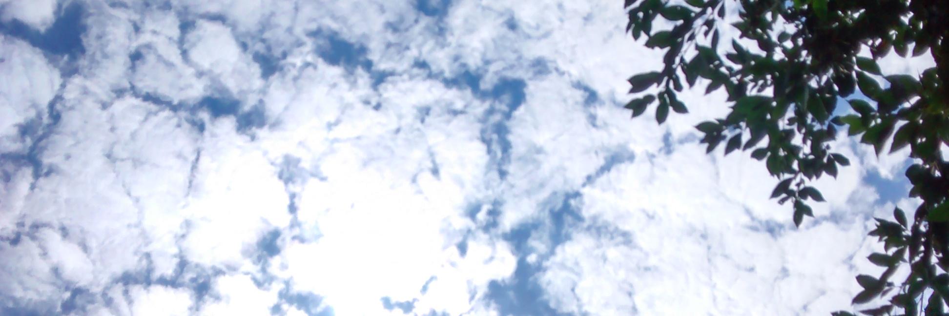 ihfdan's profile banner image