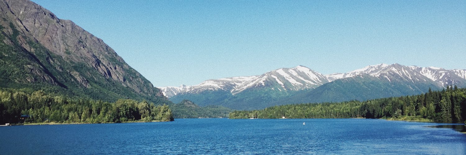 JssMint's profile banner image