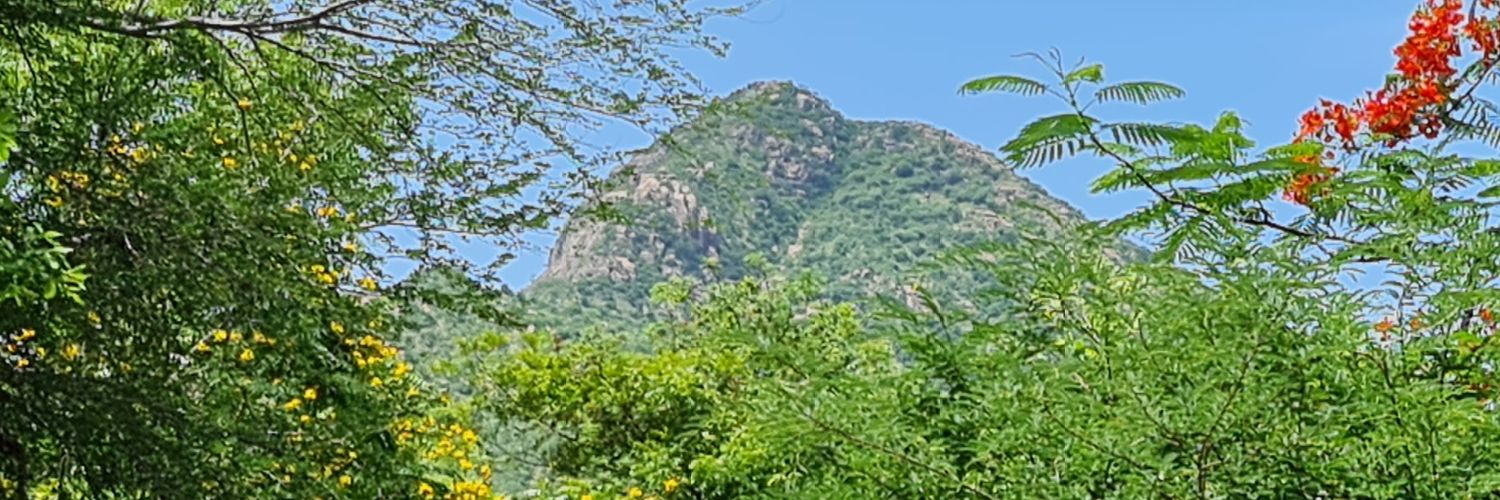 ntucsaravanan's profile banner image