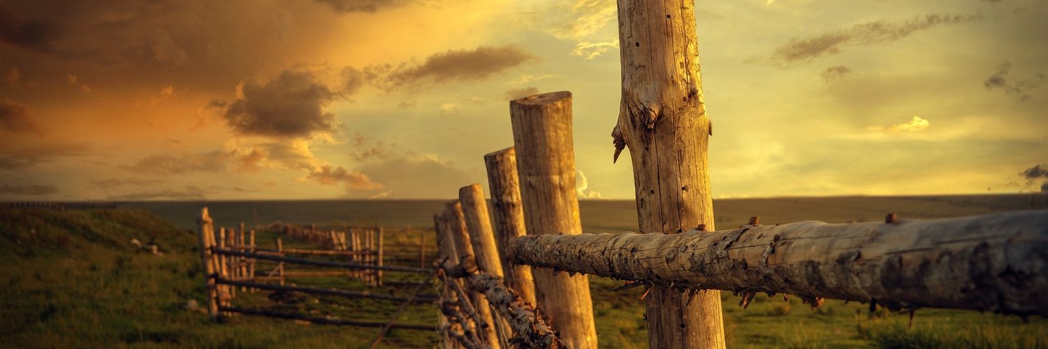 Christian Sander banner