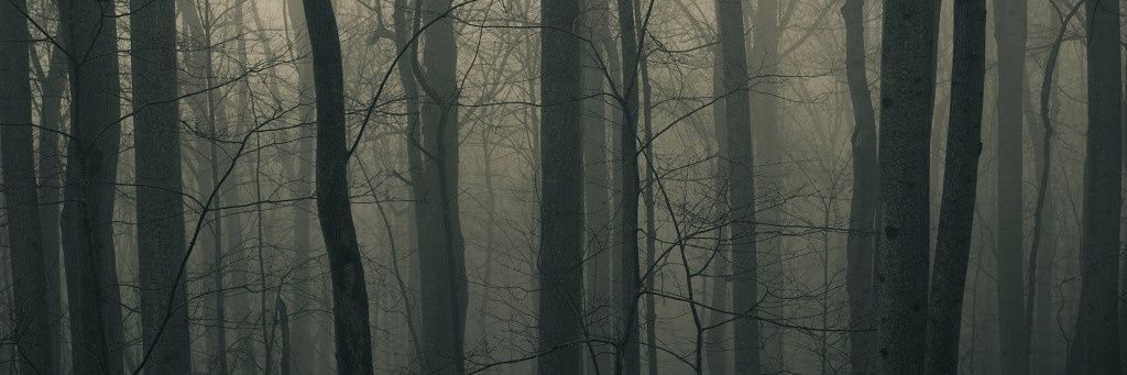 ibragrkn's profile banner image