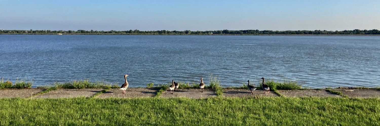 Céline Carré 🇪🇺🏡🏫🌍 banner