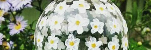_MariaMM's profile banner image