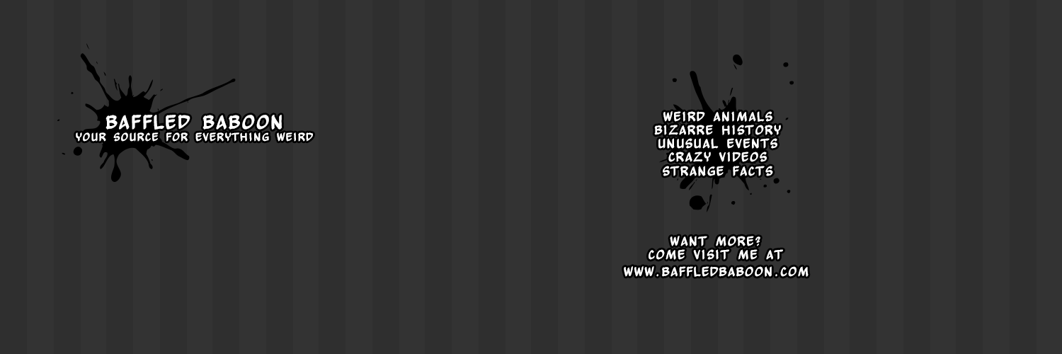 BaffledBaboon's profile banner image