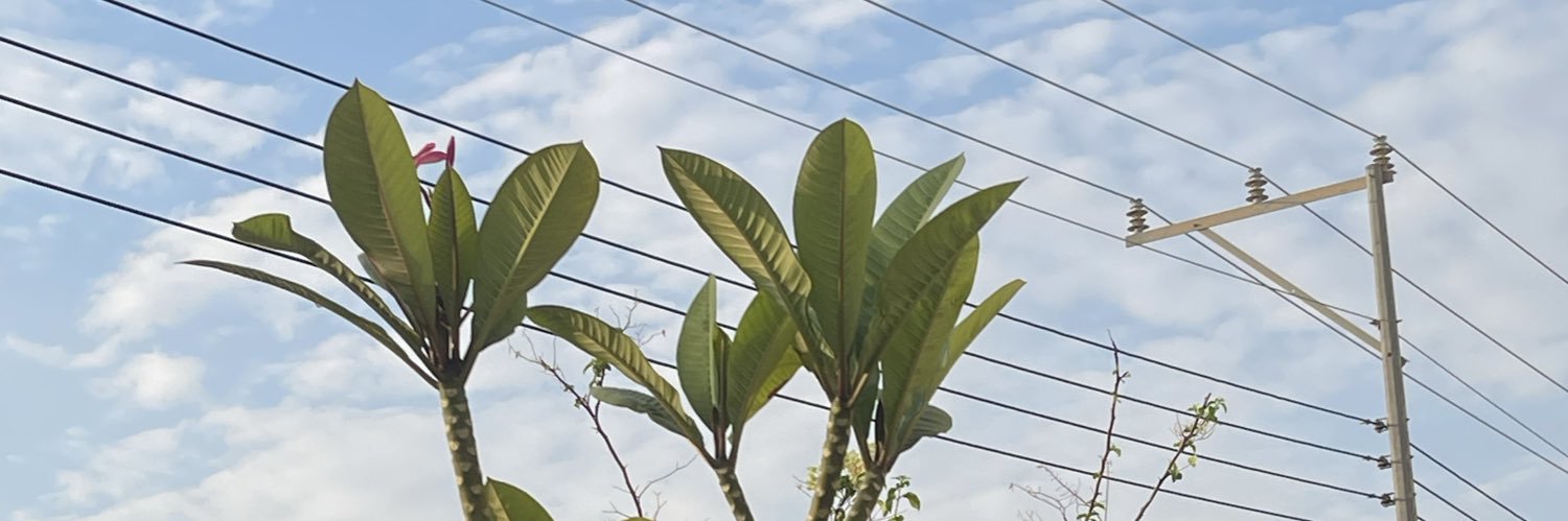 Shahod_M_'s profile banner image
