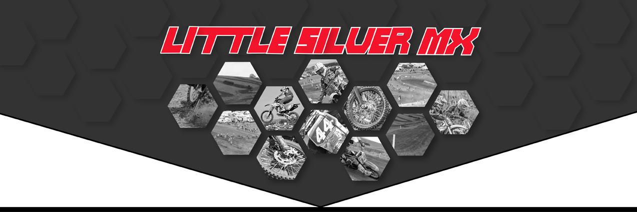littlesilvermx's profile banner image