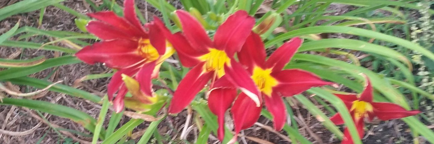JimLaurance's profile banner image