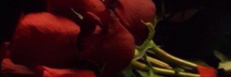 greennmoonn's profile banner image