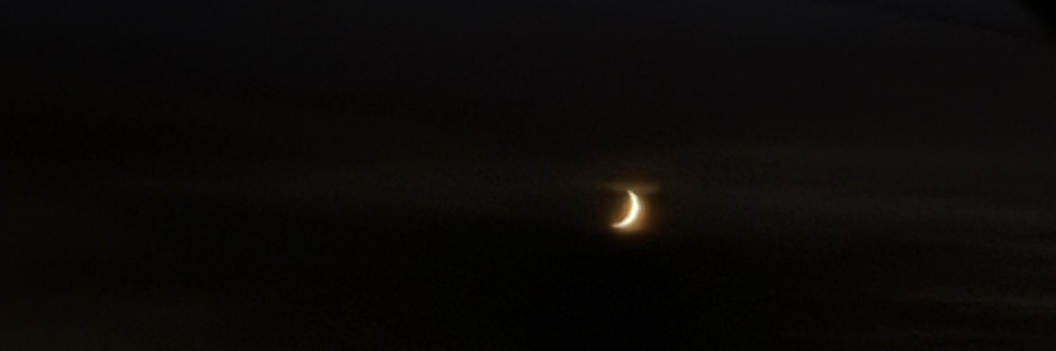 sunflowerswt's profile banner image