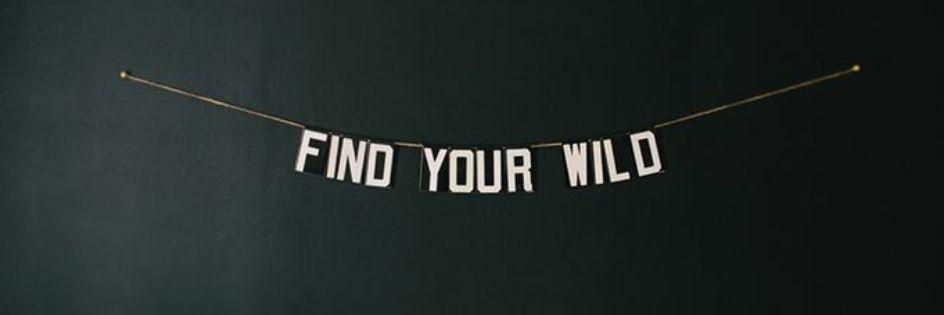 Millz147's profile banner image