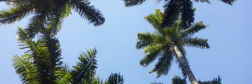 EgitoMary's profile banner image