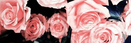 Little_Butercup's profile banner image