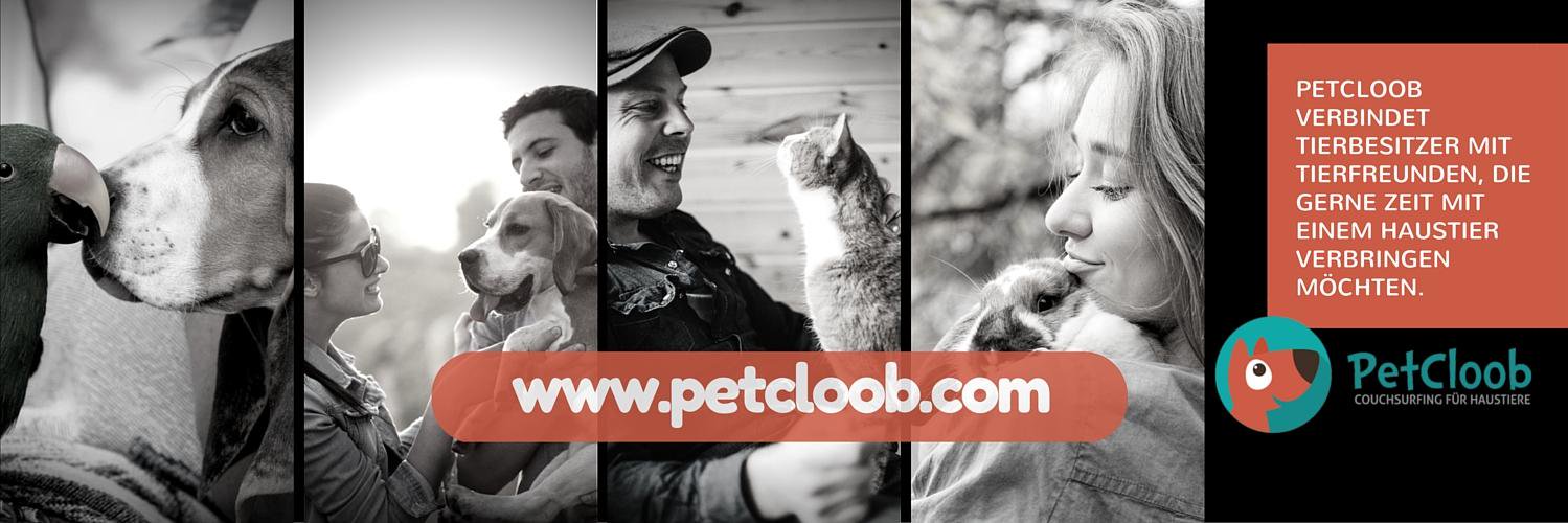 petcloob's profile banner image