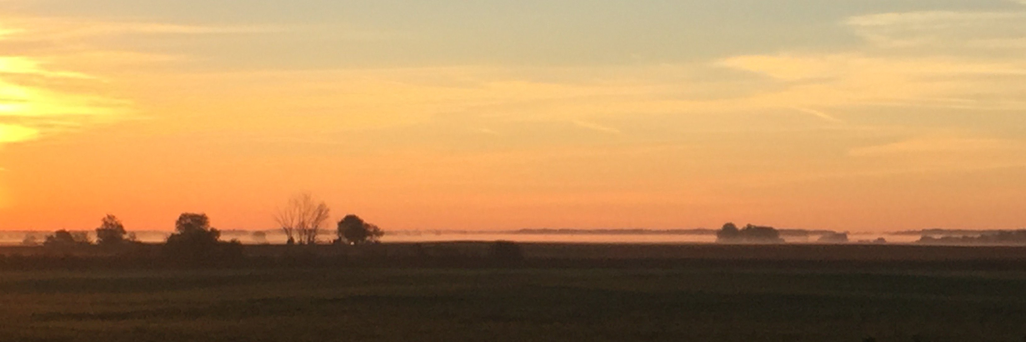 CallfarmsCall's profile banner image