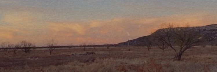HaleyMoore07's profile banner image